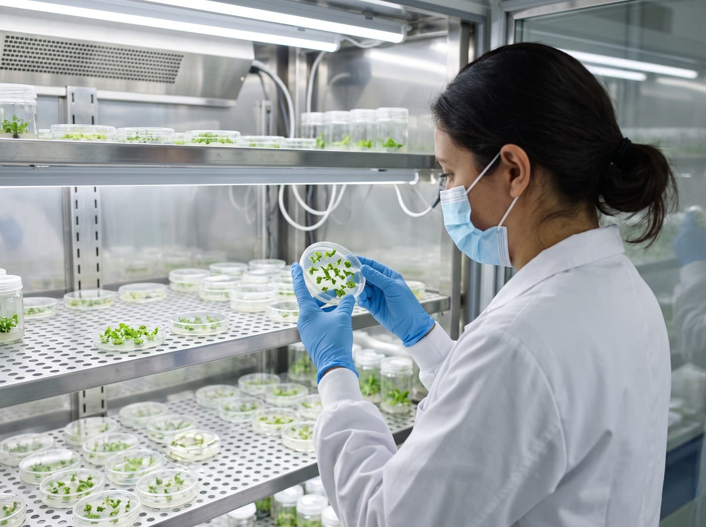 Green Bio:
Gene-Edited Plants